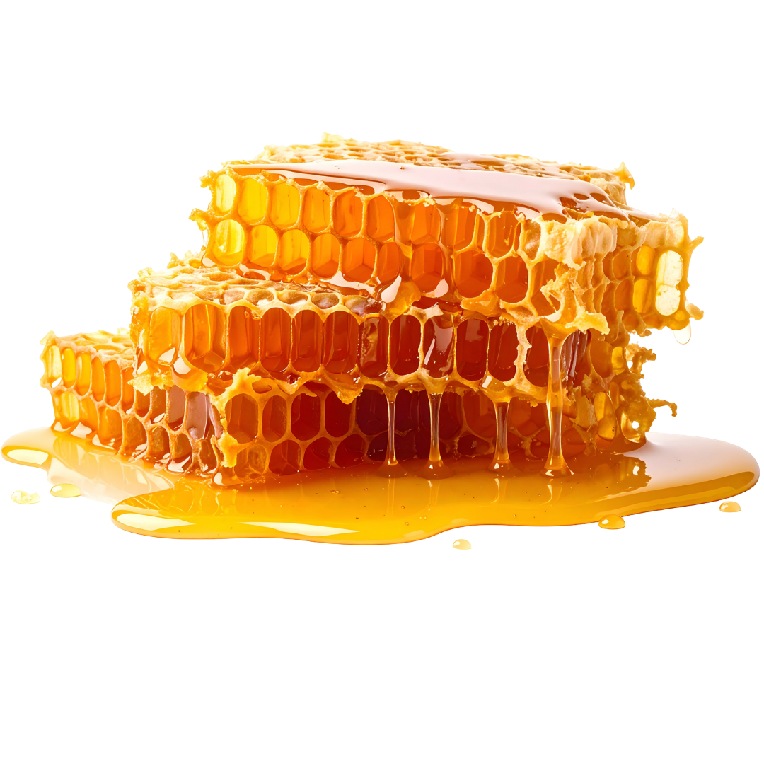 Organic Raw Honey - Image 5