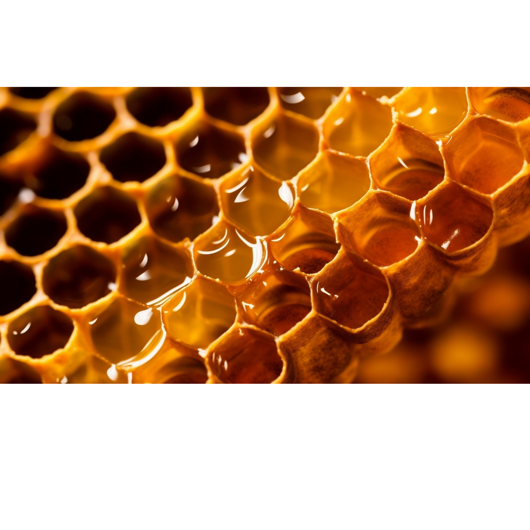 Organic Raw Honey - Image 3