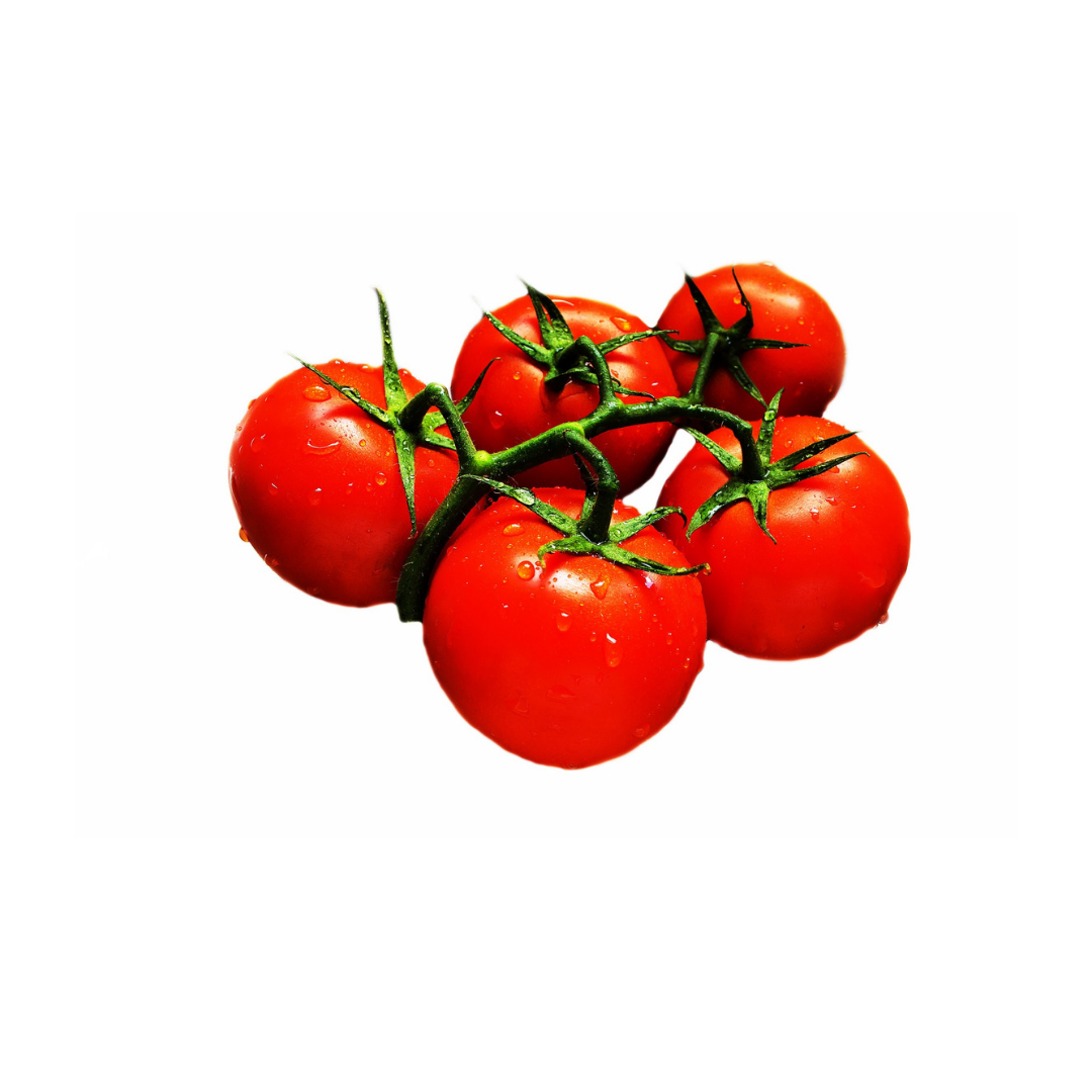 Organic Tomato